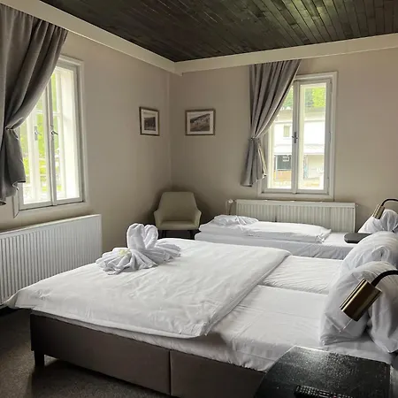 Hotel Lomnice 3*