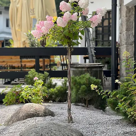 Lomnice 호텔 Špindlerŭv Mlýn