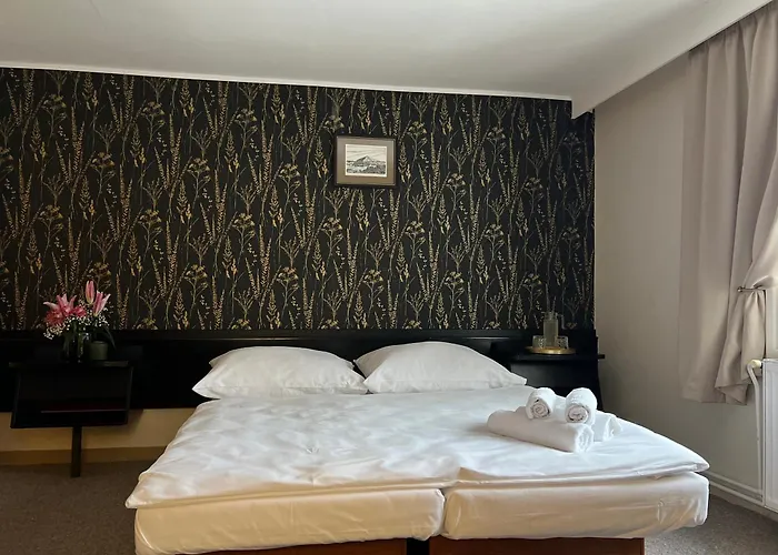 Lomnice Hotel 3*