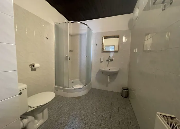 Hotel Lomnice 3*