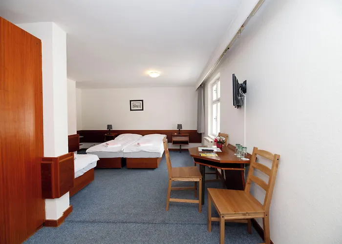 Hotel Lomnice 3*